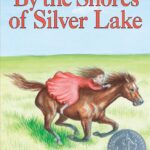 By the shores of silver