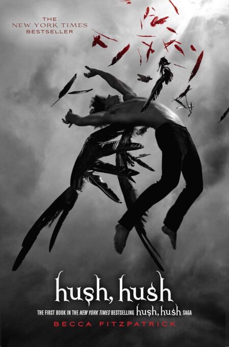 Hush, Hush #1