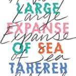 A Very Large Expanse of Sea