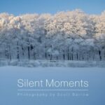 Silent Moments