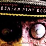 Bosnian Flat Dog