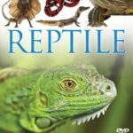 Reptile(DVD)