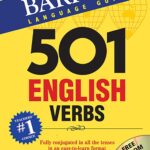 501 English Verbs