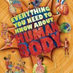Everything You Need To Know about the Human Body