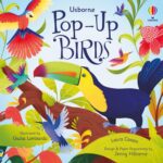 Pop-Up Birds (Pop-Ups)