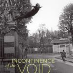 Incontinence of the Void: Economico-Philosophical Spandrels
