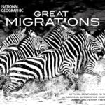 Great Migrations