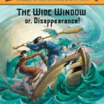 The Wide Window
