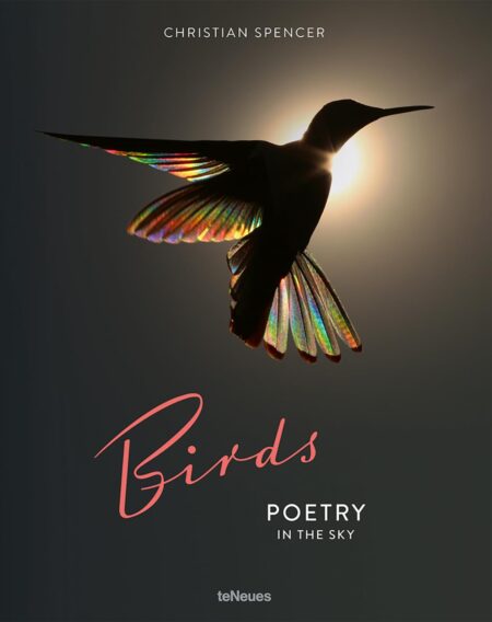 Birds- Poetry in the Sky