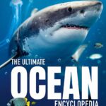 Ultimate Ocean Encyclopedia