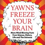 Yawns Freeze Your Brain