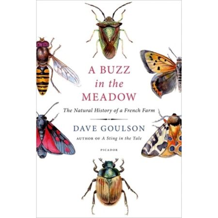 Buzz in the Meadow