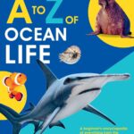 A-Z Of Ocean Life