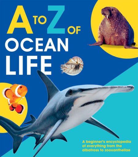 A-Z Of Ocean Life