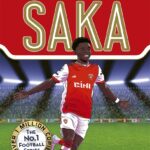 Ultimate Football Heroes: Saka