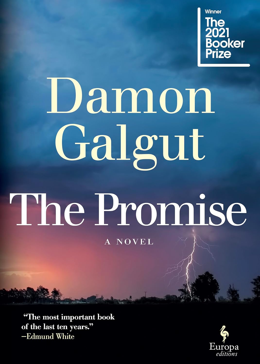 Galgut: The Promise
