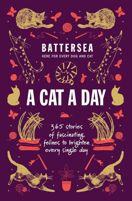 Battersea Dogs & Cats Home - A Cat a Day