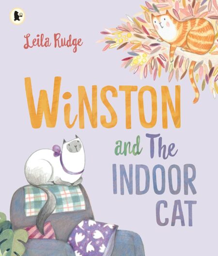 Winston & The Indoor Cat