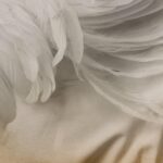 Vintage Woolf: Orlando