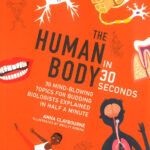Human Body in 30 Seconds