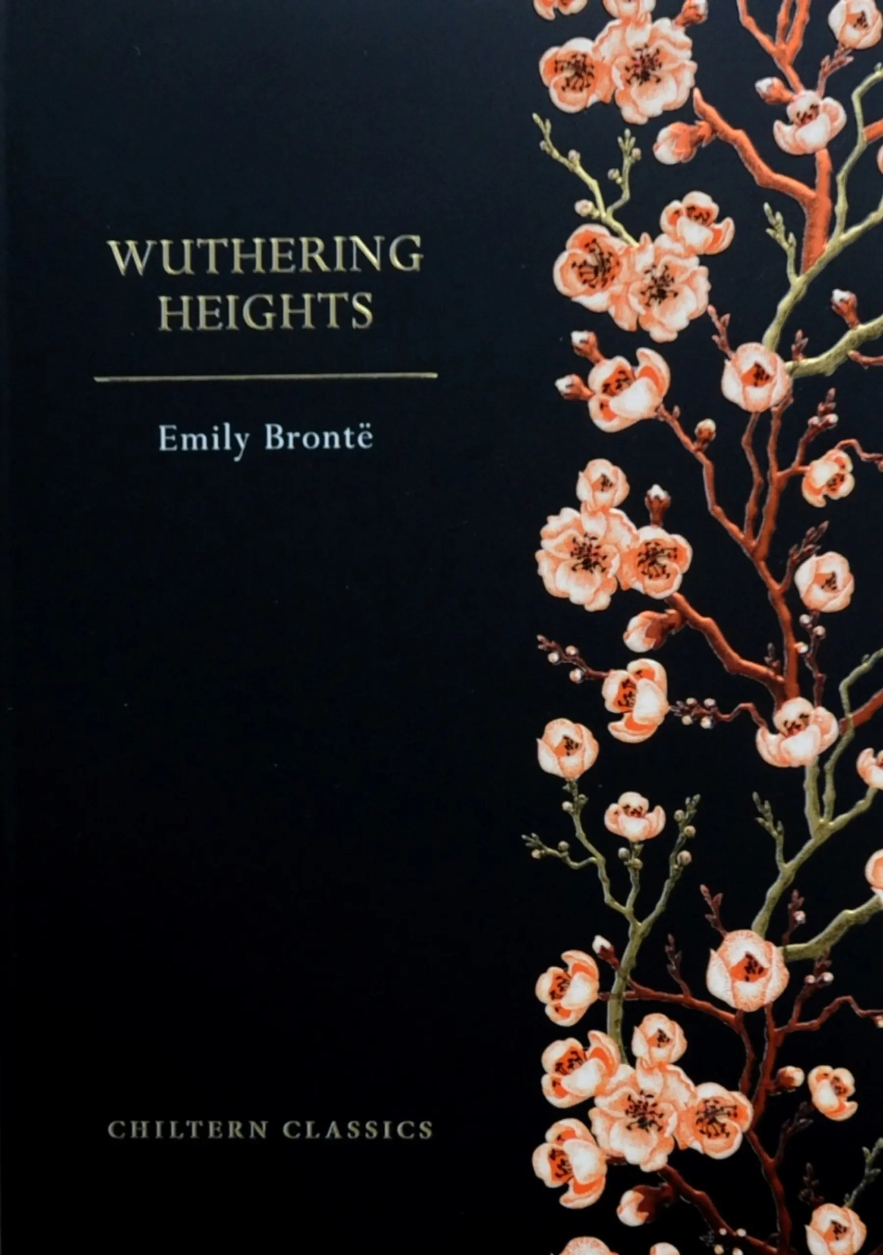 Chiltern Classics pb: Wuthering Heights