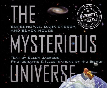 The Mysterious Universe (Scientists in the Field)