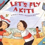 Let's Fly a Kite (Mathstart)