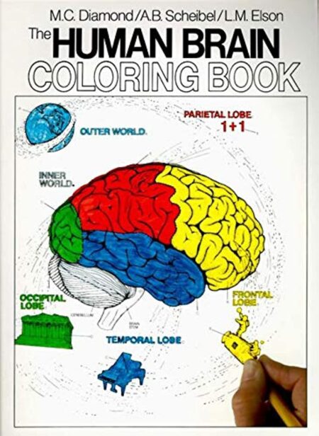 The Human Brain Coloring Book: A Coloring Book – An Interactive Guide to Neuroanatomy for Medical Students and Professionals