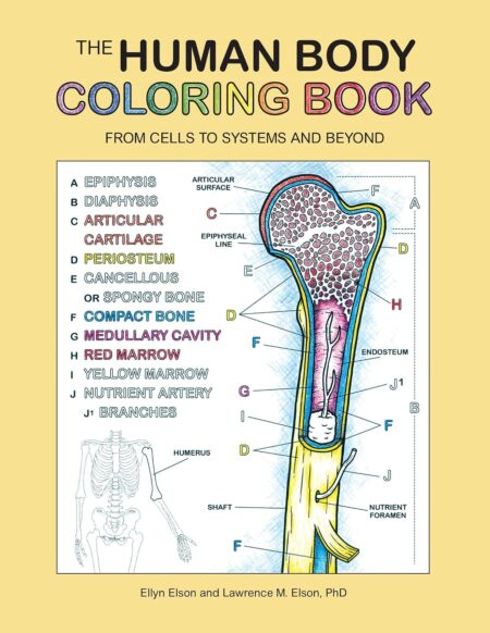 The Human Body Coloring Book: From Cells to Systems and Beyond (Coloring Concepts, 15)