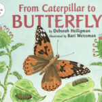 From Caterpillar to Butterfly Big Book (Let's-Read-and-Find-Out Science 2