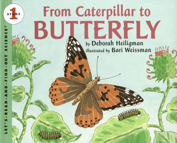 From Caterpillar to Butterfly Big Book (Let's-Read-and-Find-Out Science 2