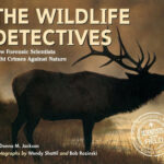 The Wildlife Detectives (Scientists in the Field)