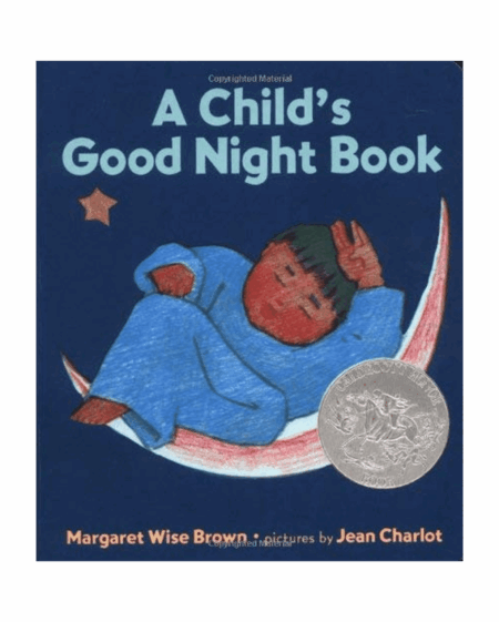 A Child's Good Night Book
